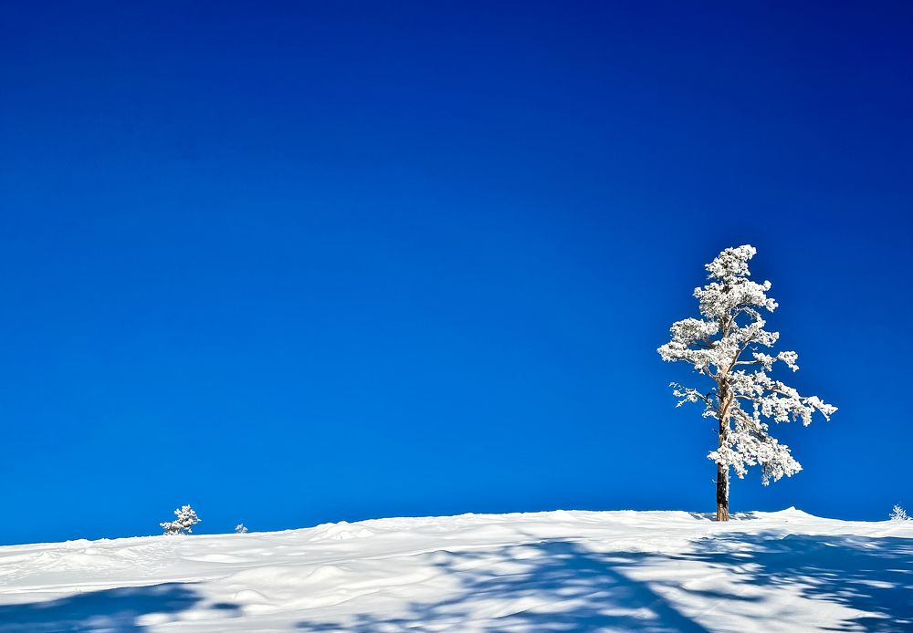 Photograph by Олег Терешкин