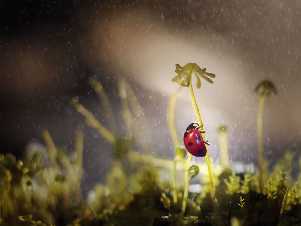 Photograph by Olga Rogozina