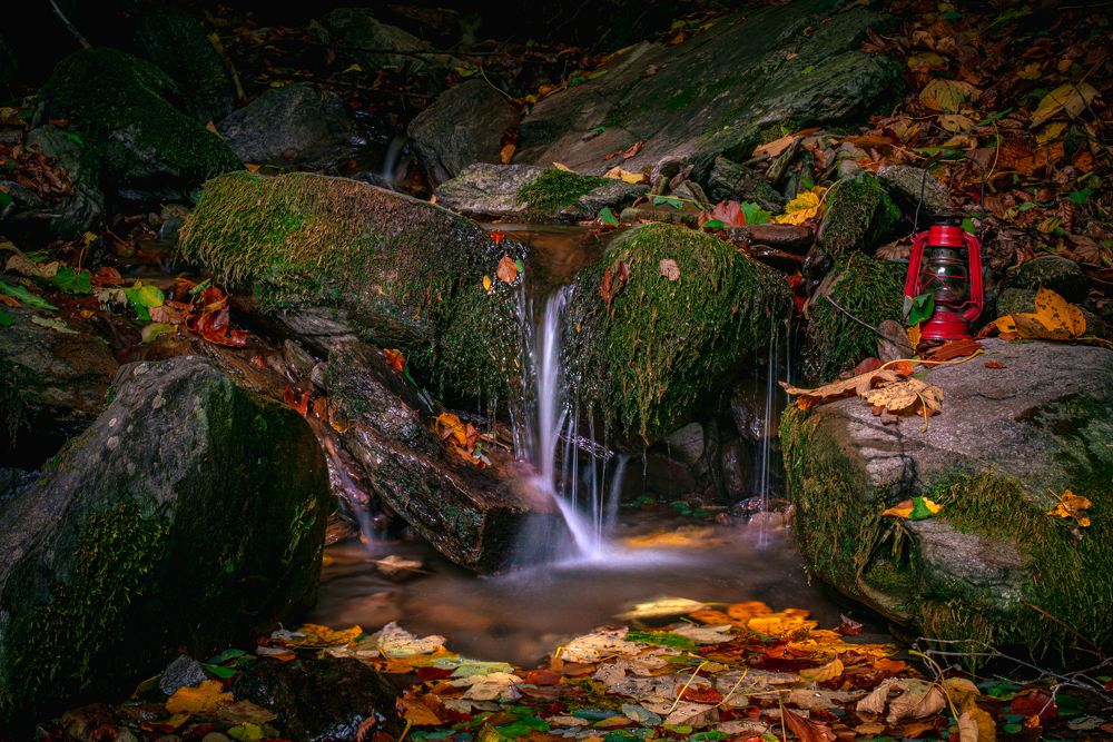 Photograph by Sadzid Karic