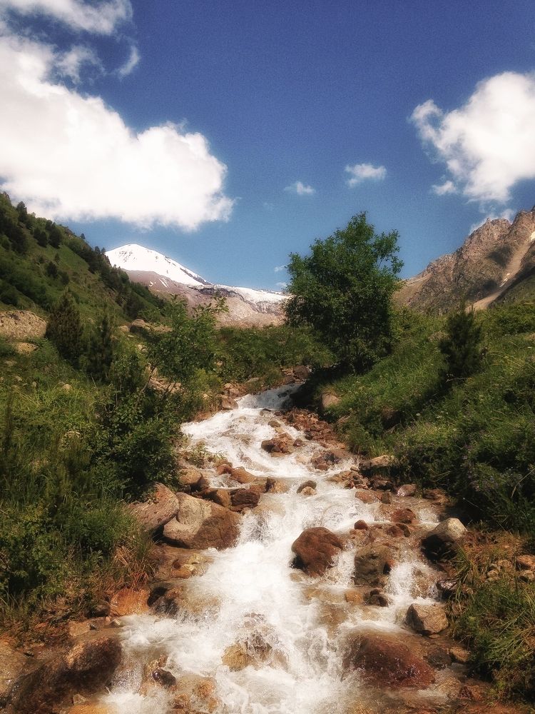 Photograph by Snow Vadim