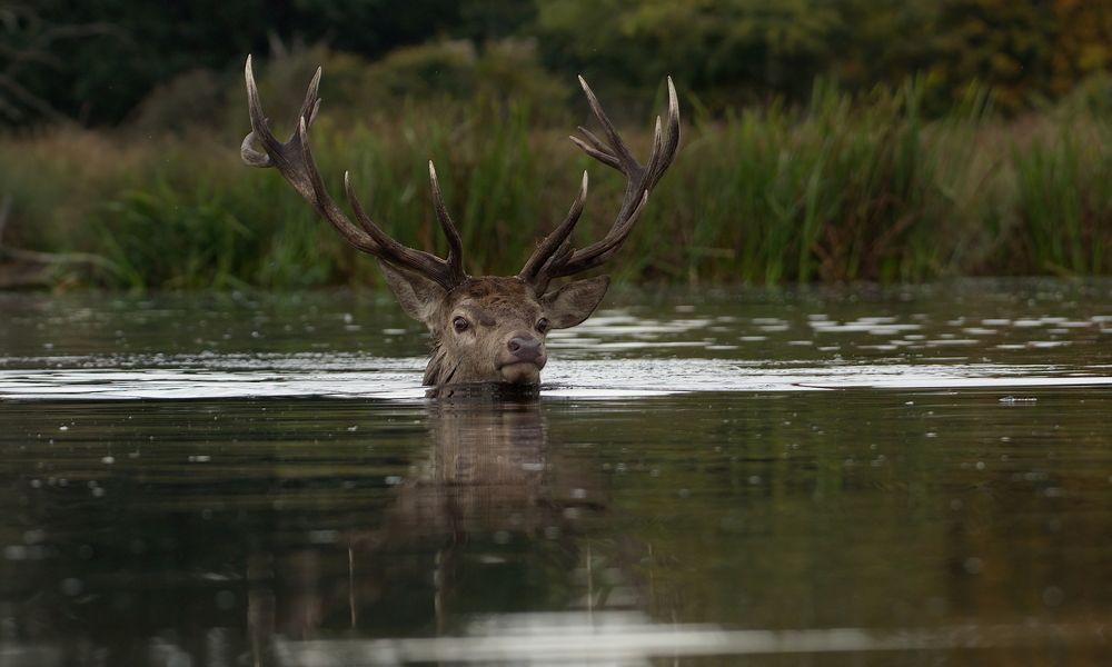 Фотография автора Kowalski Jaroslaw