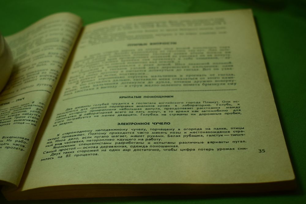 Photograph by Наталья Еременко