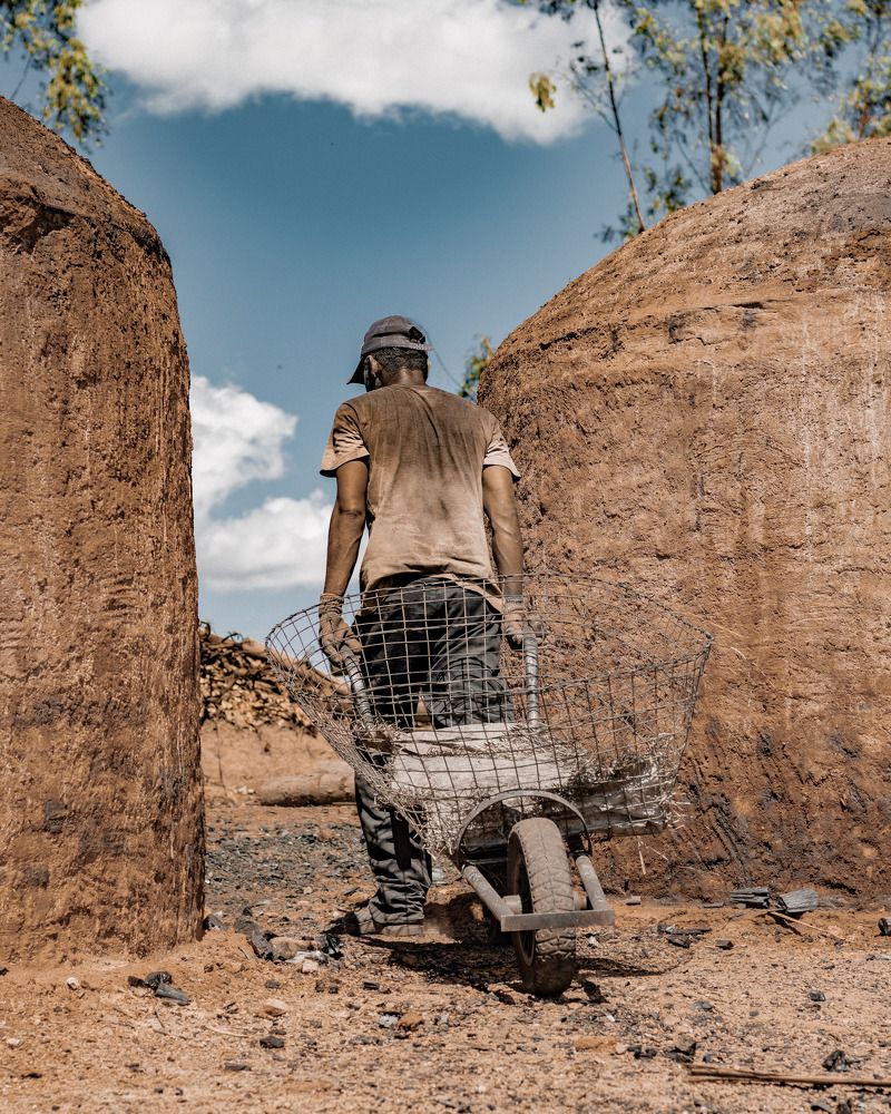 Trabalhador Brasileiro