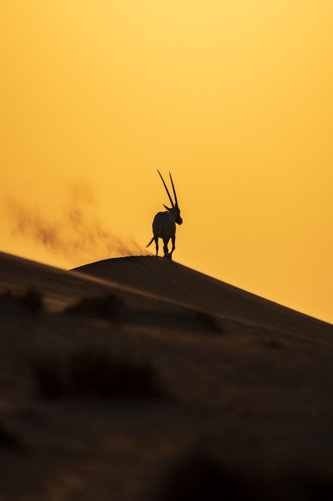 Photograph by Zubair Irshad