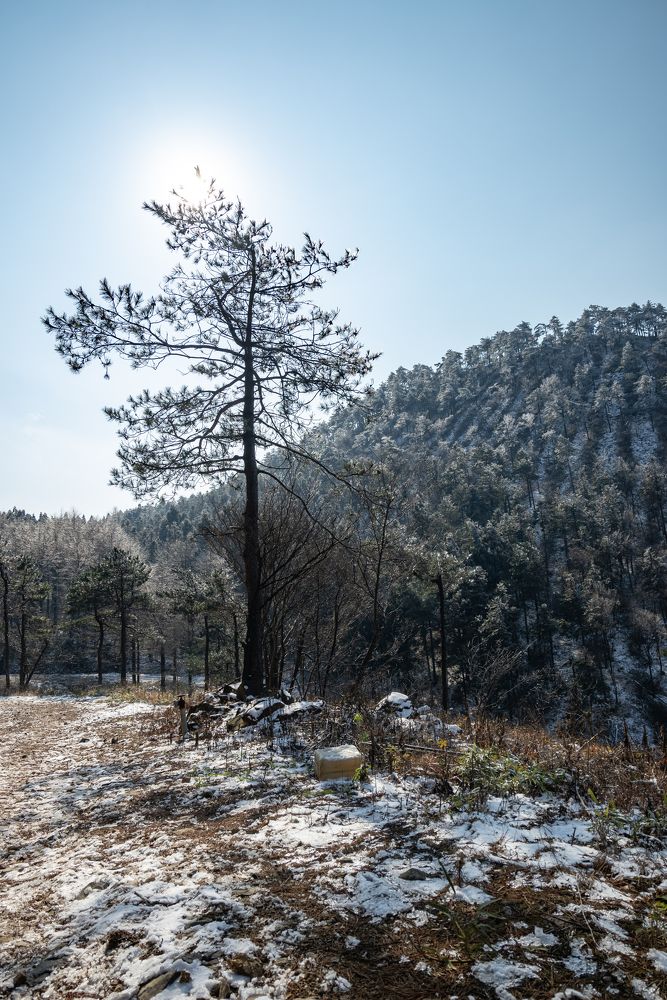 Photograph by Fang Hao