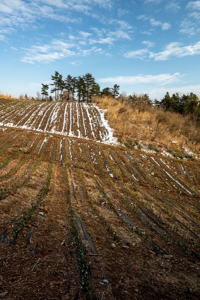 Photograph by Fang Hao