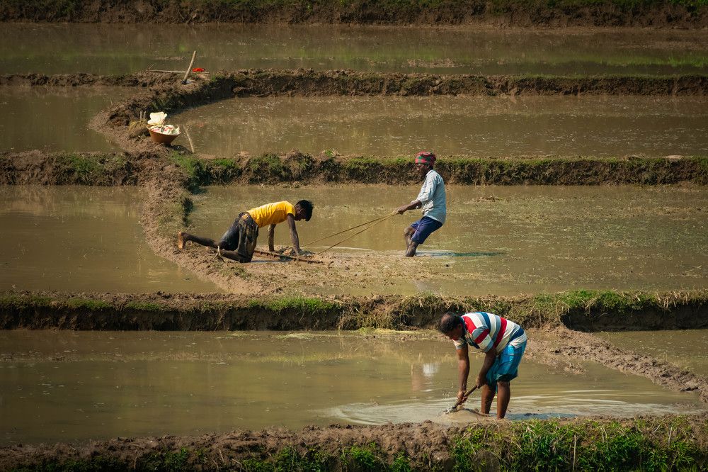 Photograph by Anirban Pan
