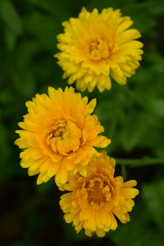 Photograph by Наталья Еременко