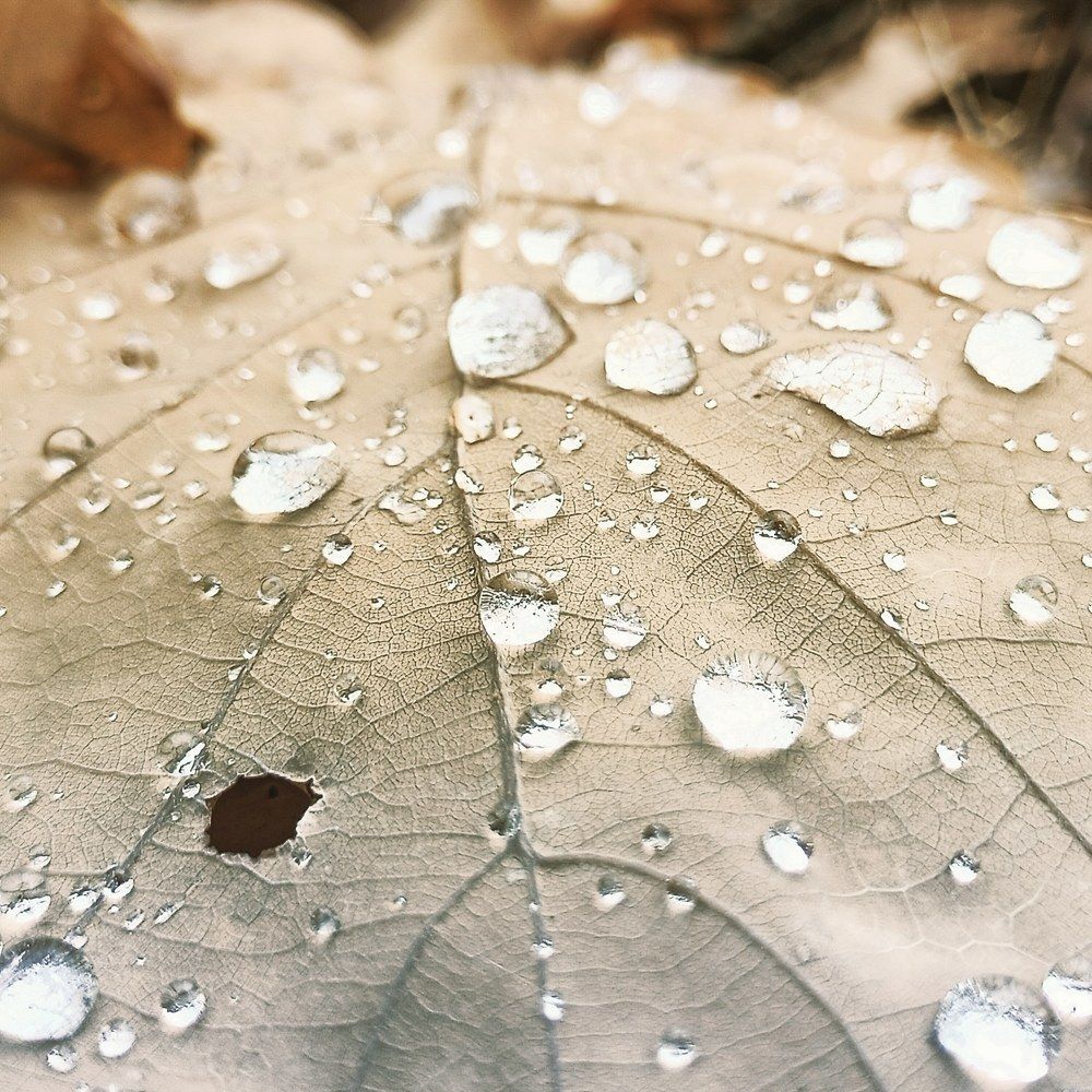 Photograph by Николай Троянов