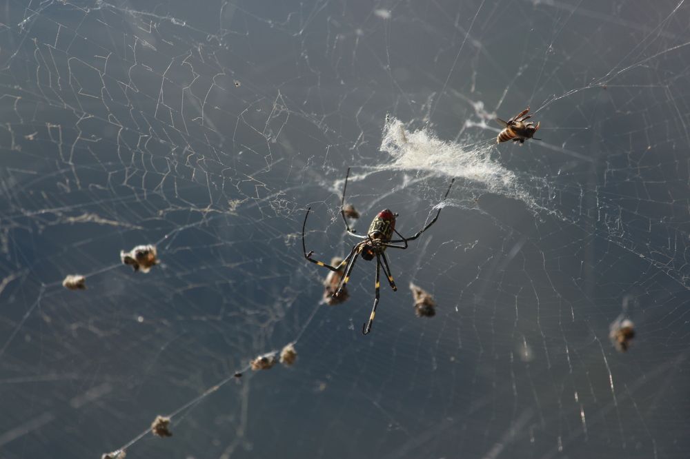 Photograph by Sourav Mahant