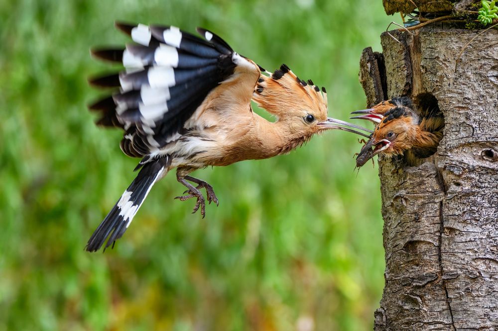 Photograph by Sara Jazbar