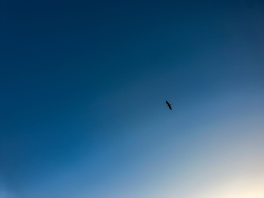 Photograph by Mudit Jain