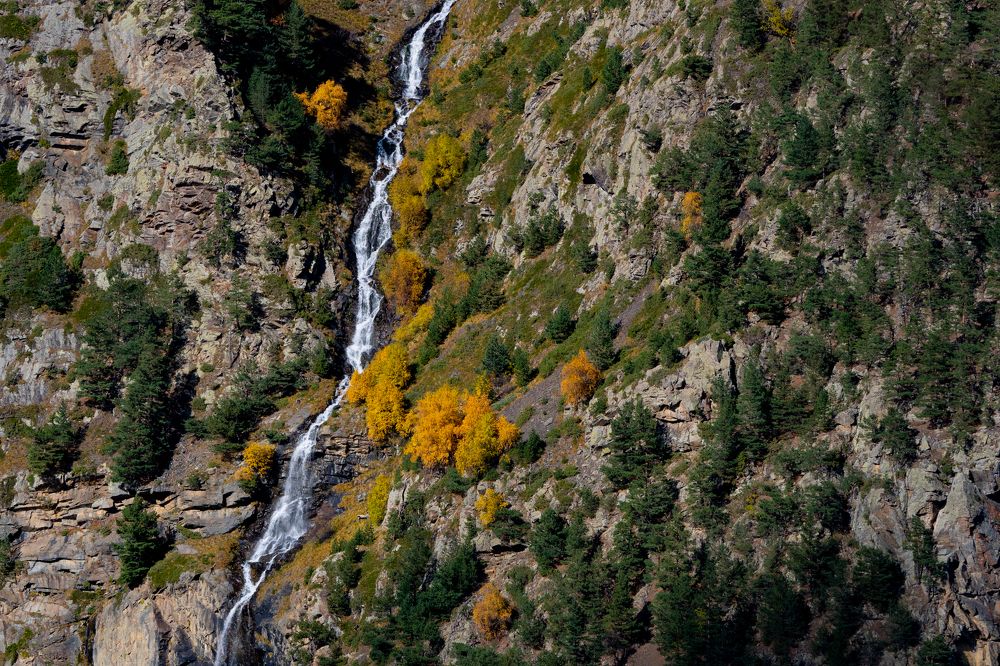 Осенняя Дигория