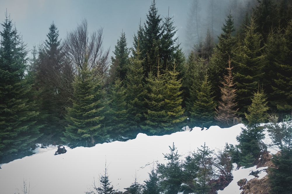 Photograph by steffi orduz