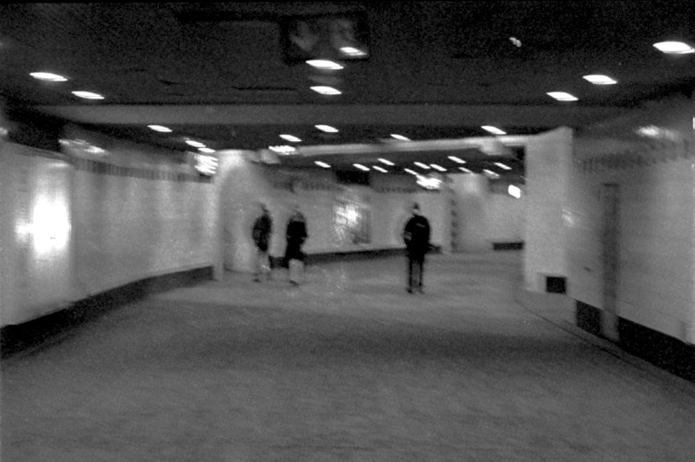 Photograph by Arash Tohidi