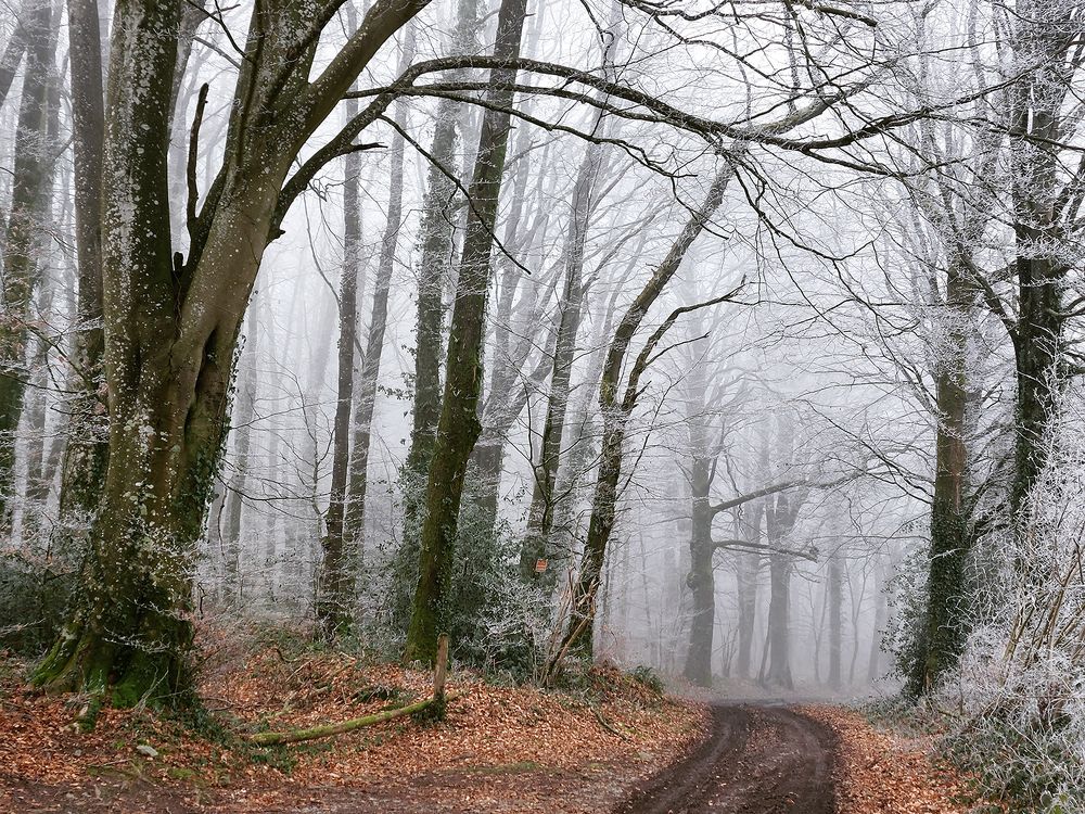 Photograph by Amélie Louys