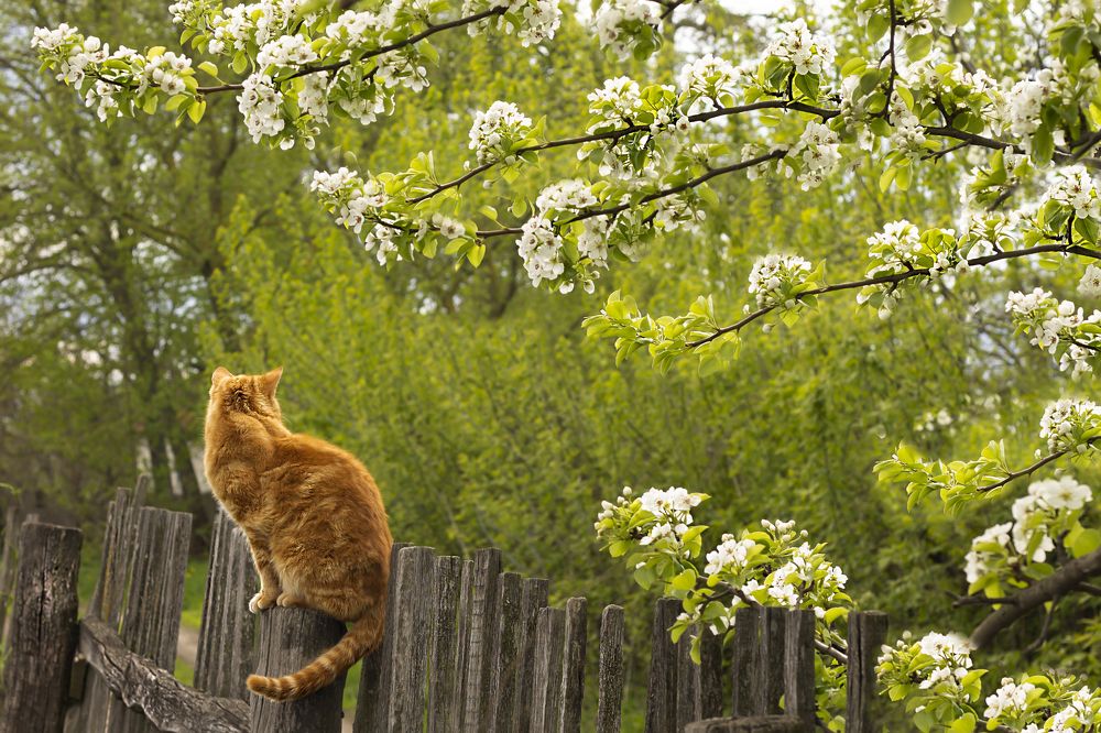 Photograph by Дарья Ващенко-Панкина