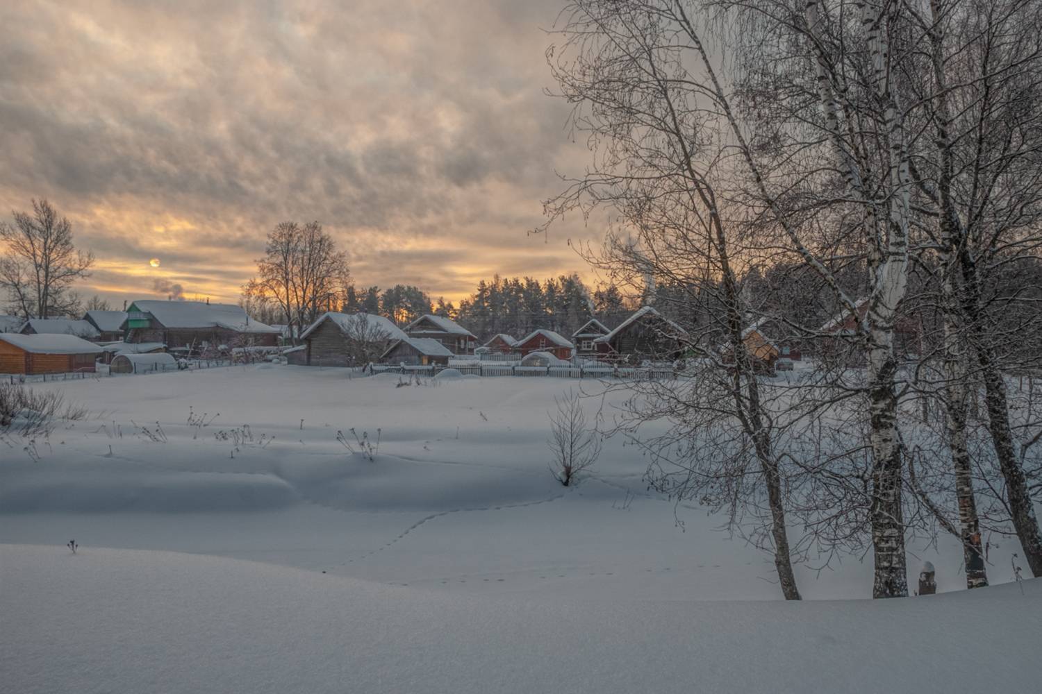 Photo #7237301