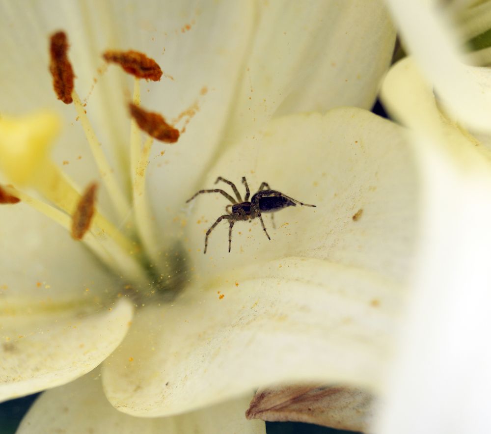 Фотография автора Павлов Дмитрий