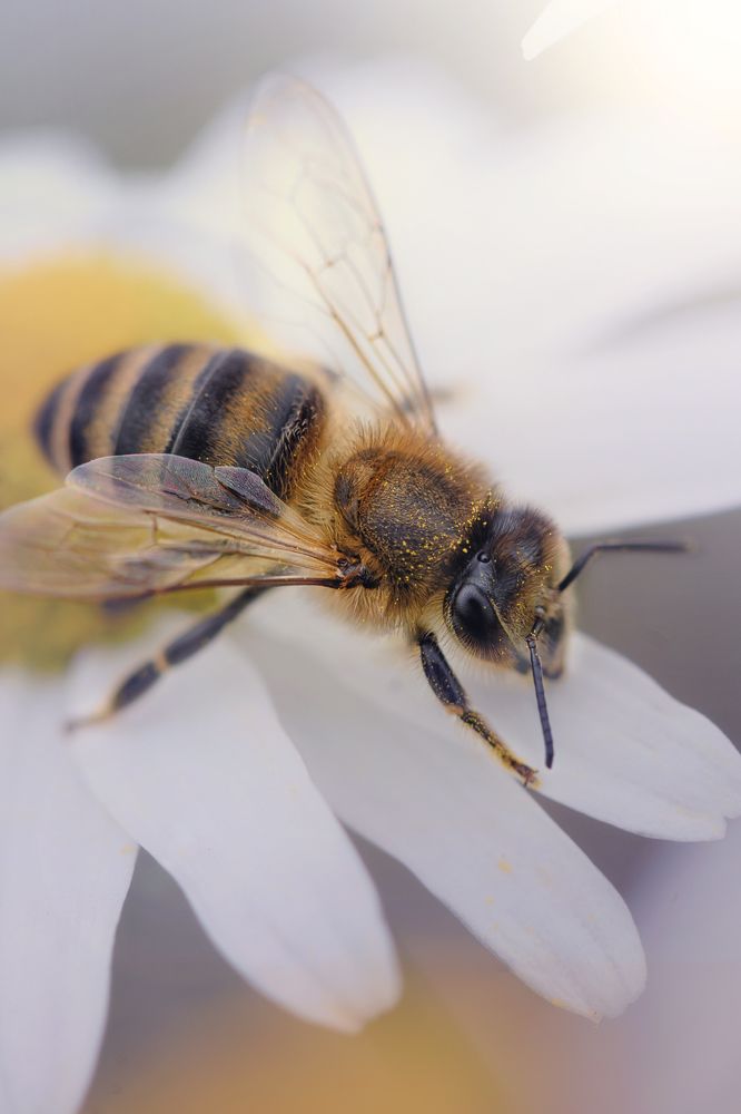Photograph by Татьяна Винничук