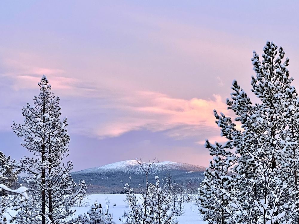 Фотография автора Юлия Шумейко