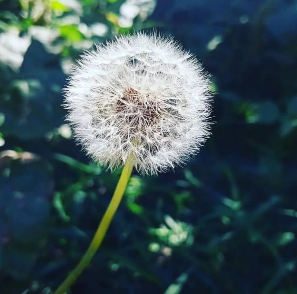 Photograph by Александра Кучер