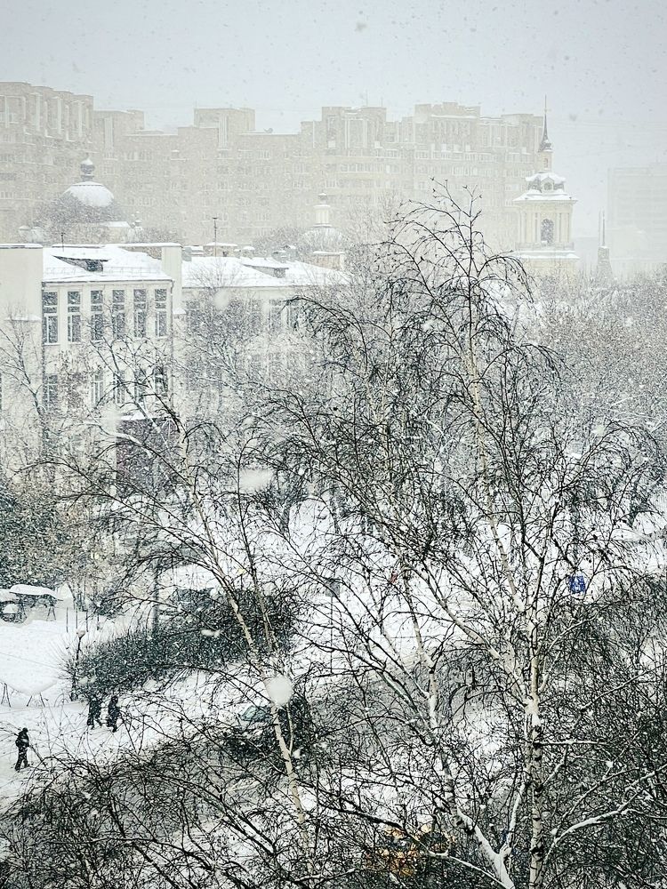 Photograph by Людмила Дорошева