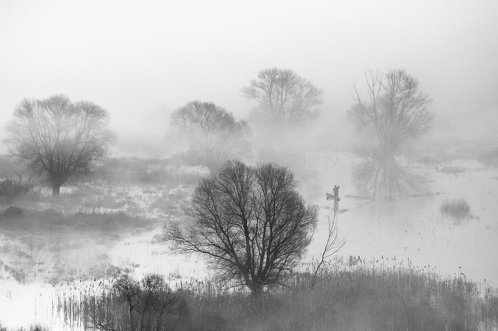 Фотография автора Юрий Сорокин