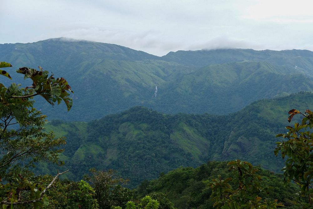 Photograph by Griffin Jose