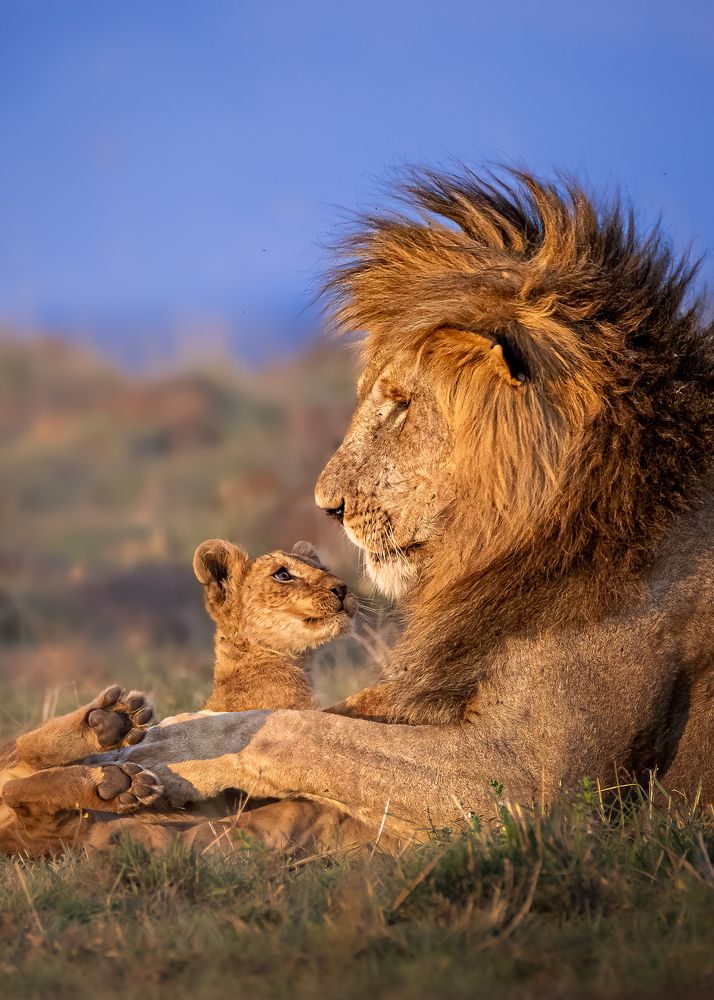 Photograph by Jayakumar MN