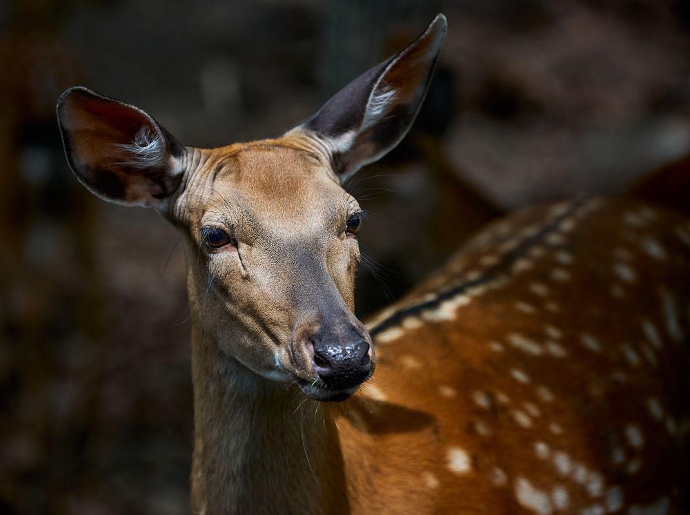 Photograph by Олег Ушаков