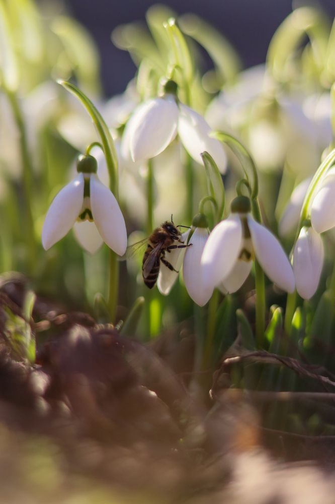 Photograph by Valeria Stepanova