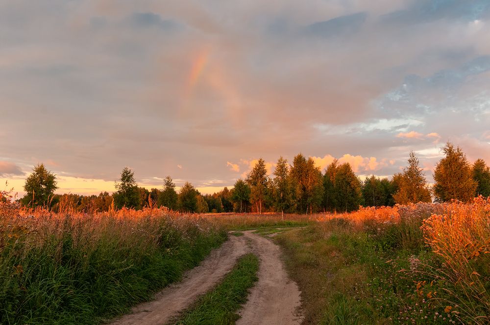 Photograph by Елена Потемина