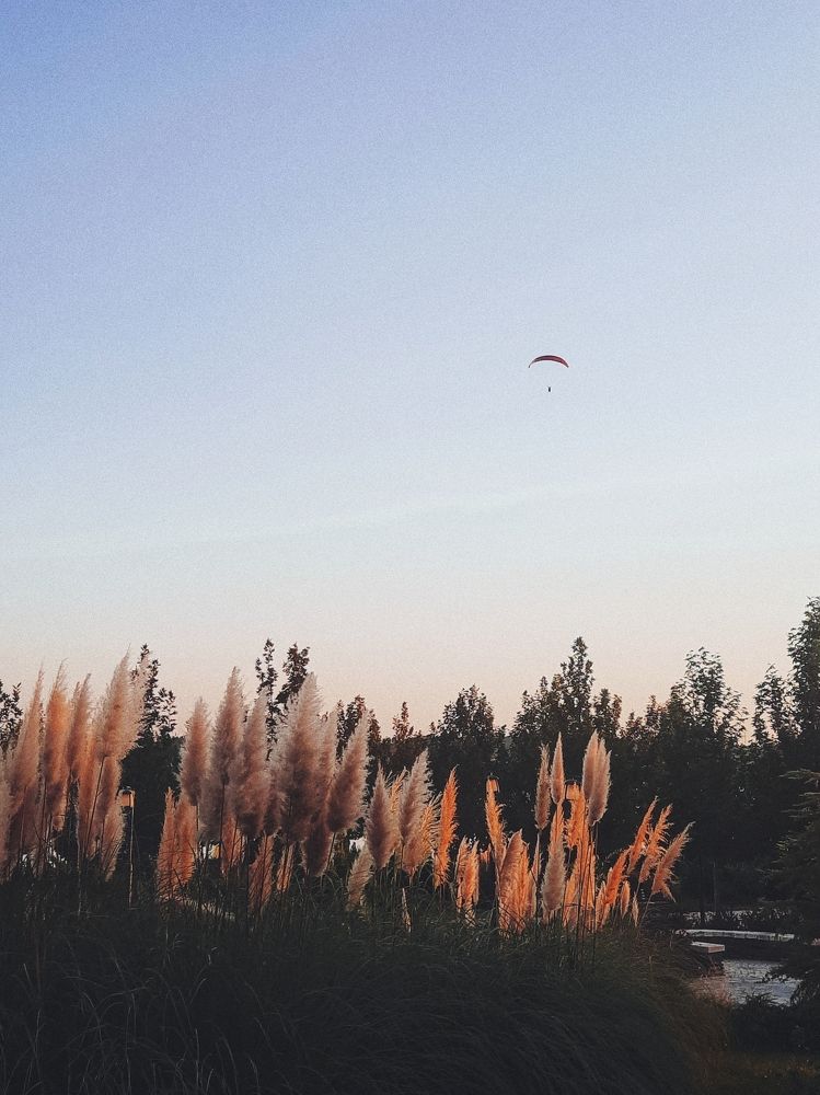 Photograph by Kosar Asgharpour bektash
