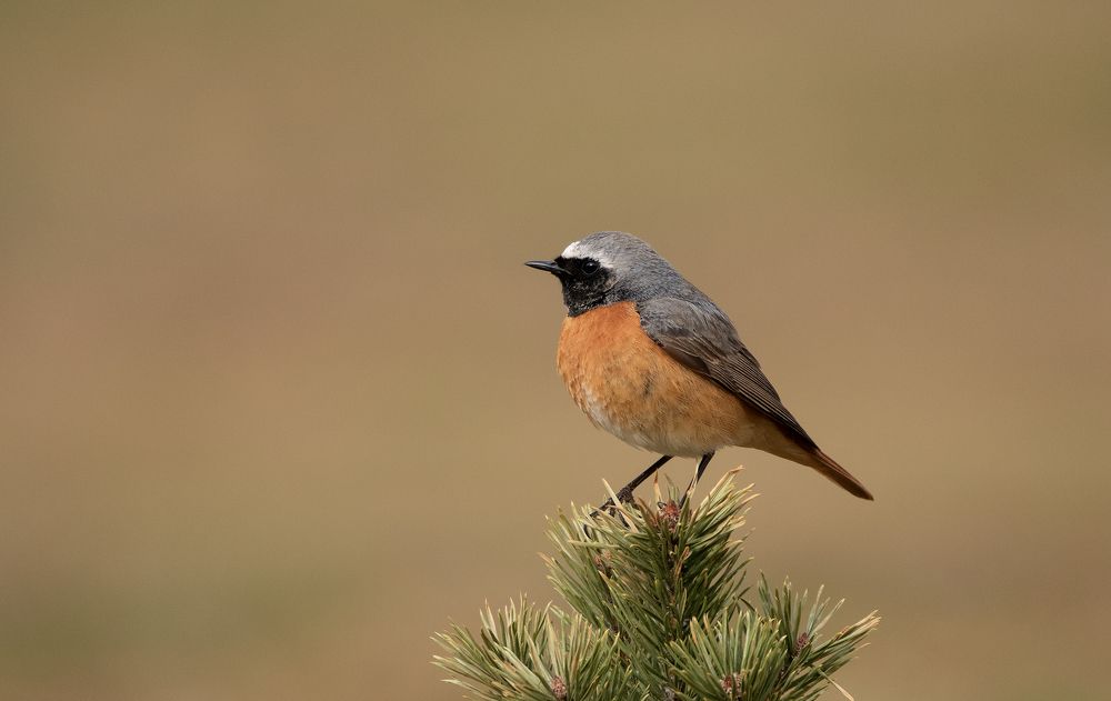 Фотография автора MARIA KULA