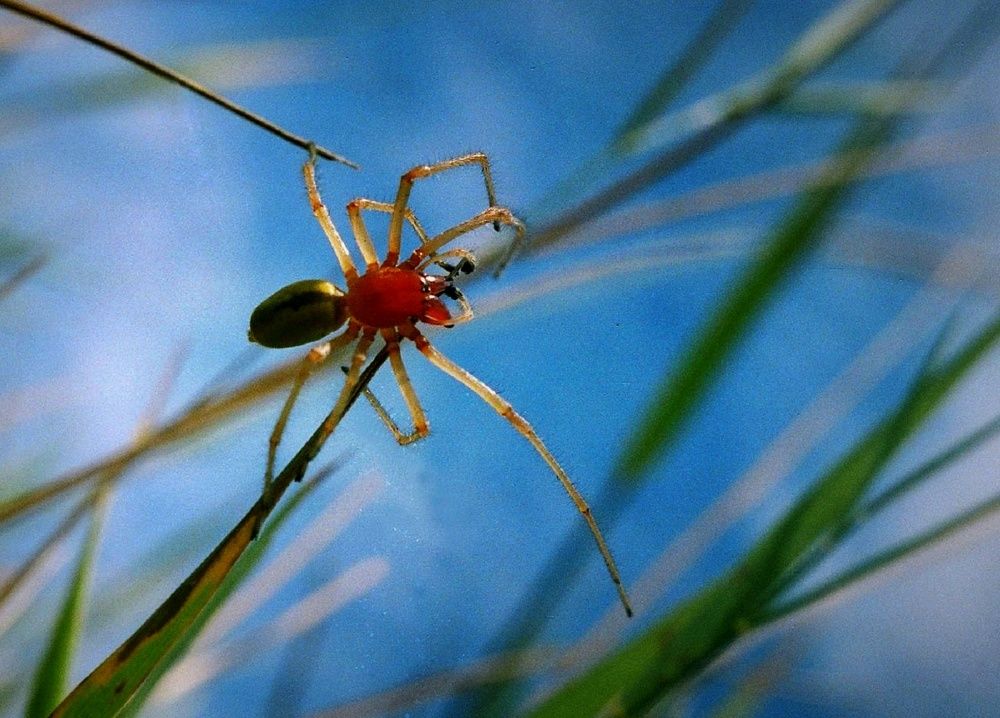 Photograph by Анна Матецкая