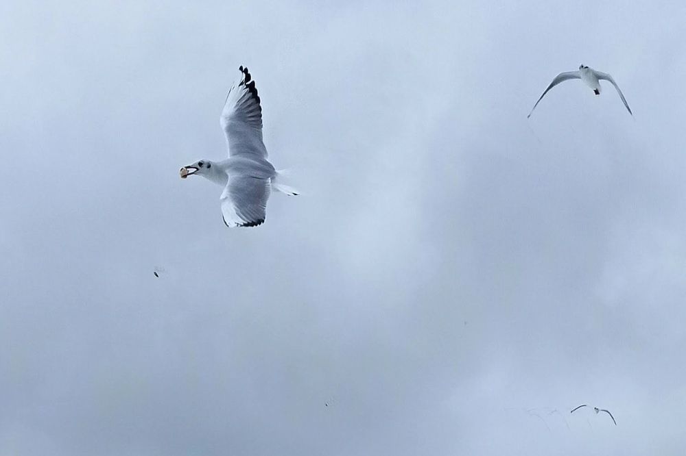 Photograph by Сергей Жигульский