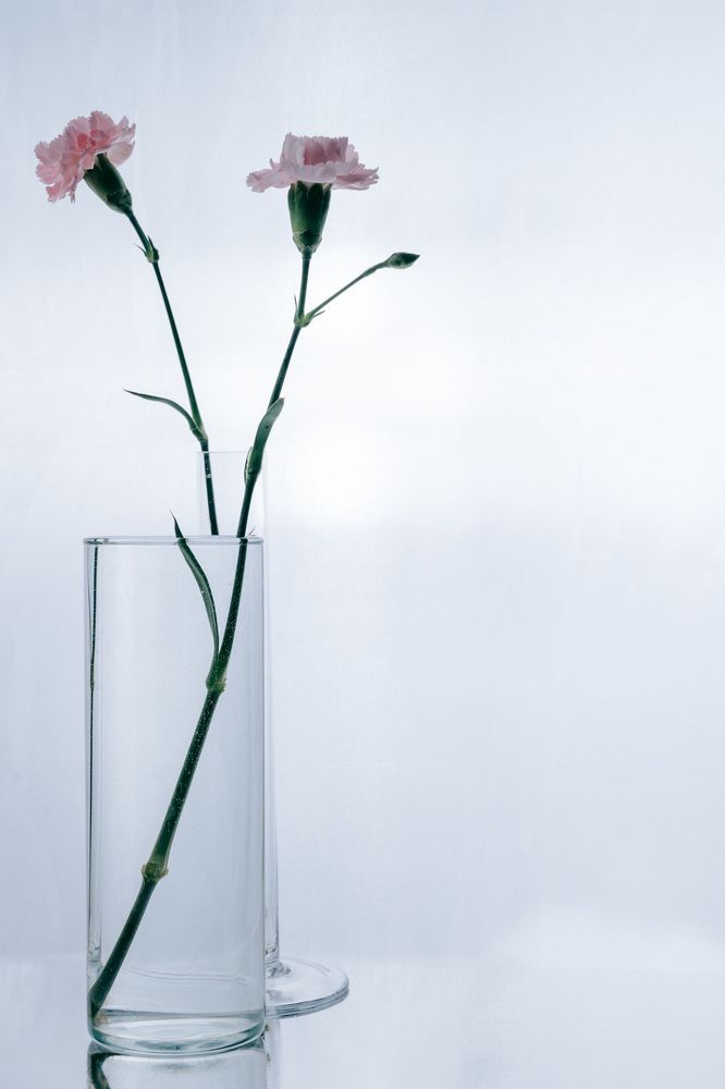 Photograph by Мишель Изруквон
