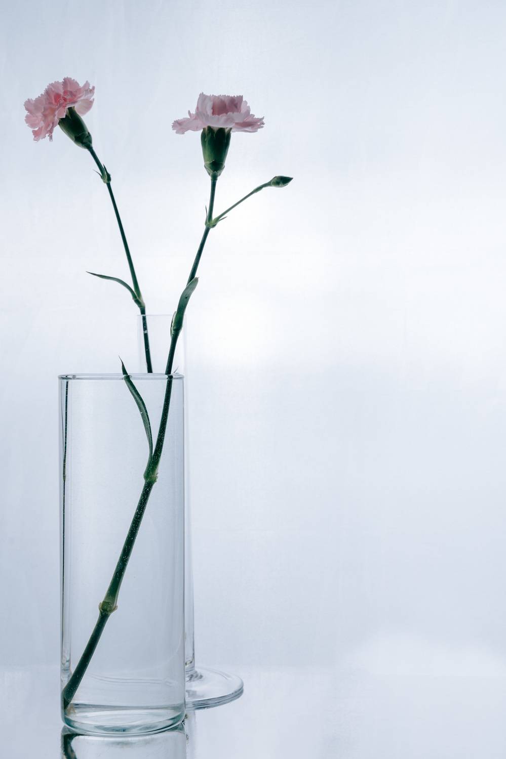 Photo #7237906