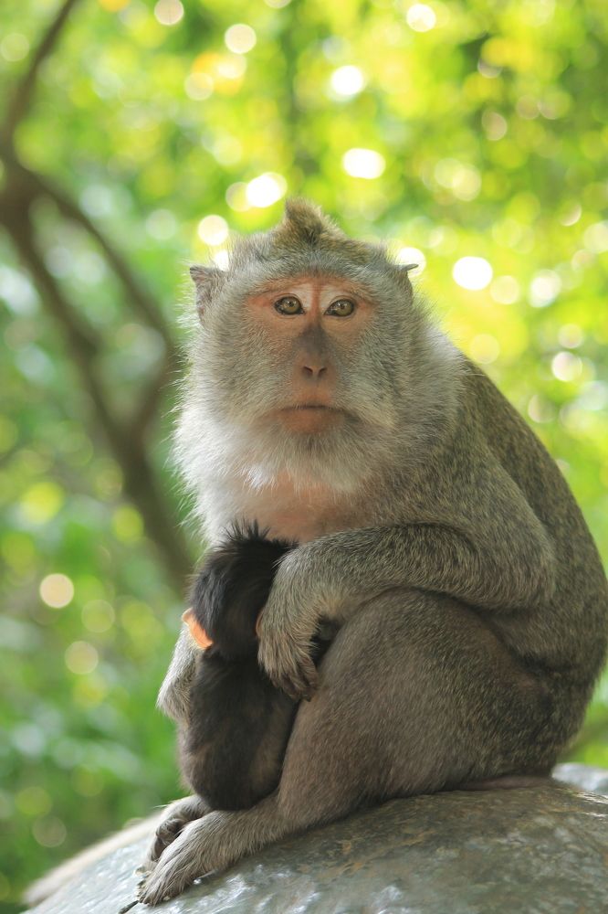 Photograph by Лена Лазарева