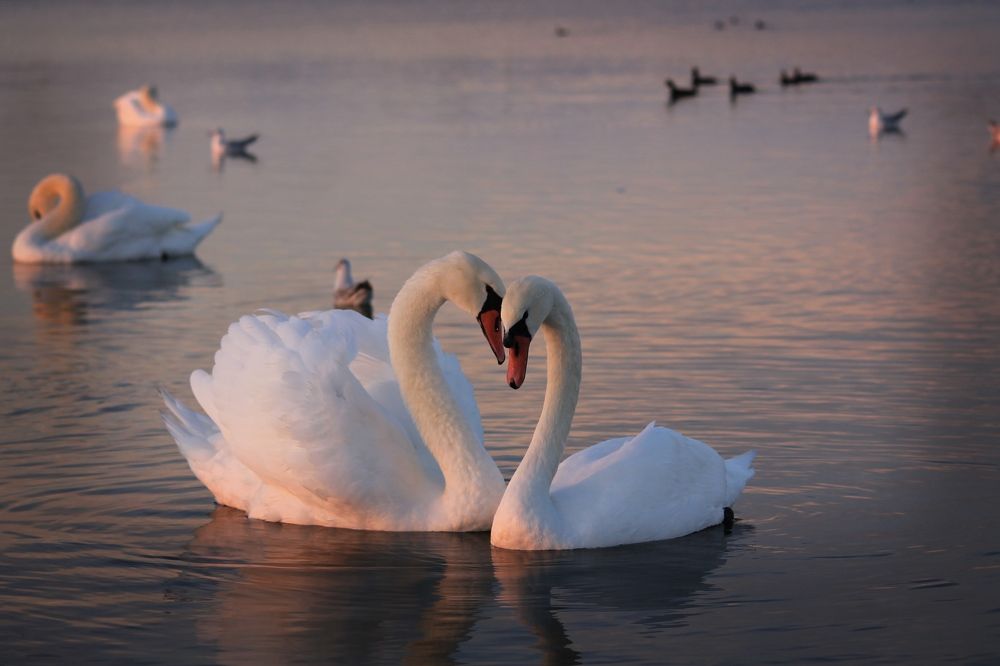 Photograph by Лена Лазарева