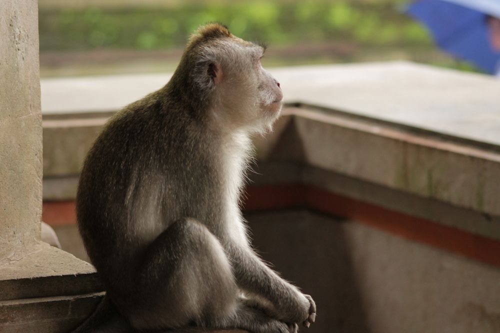 Photograph by Лена Лазарева