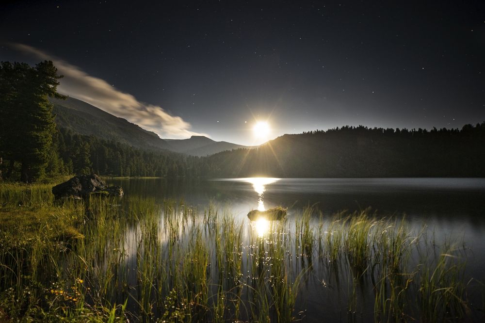 Moonlight over the lake