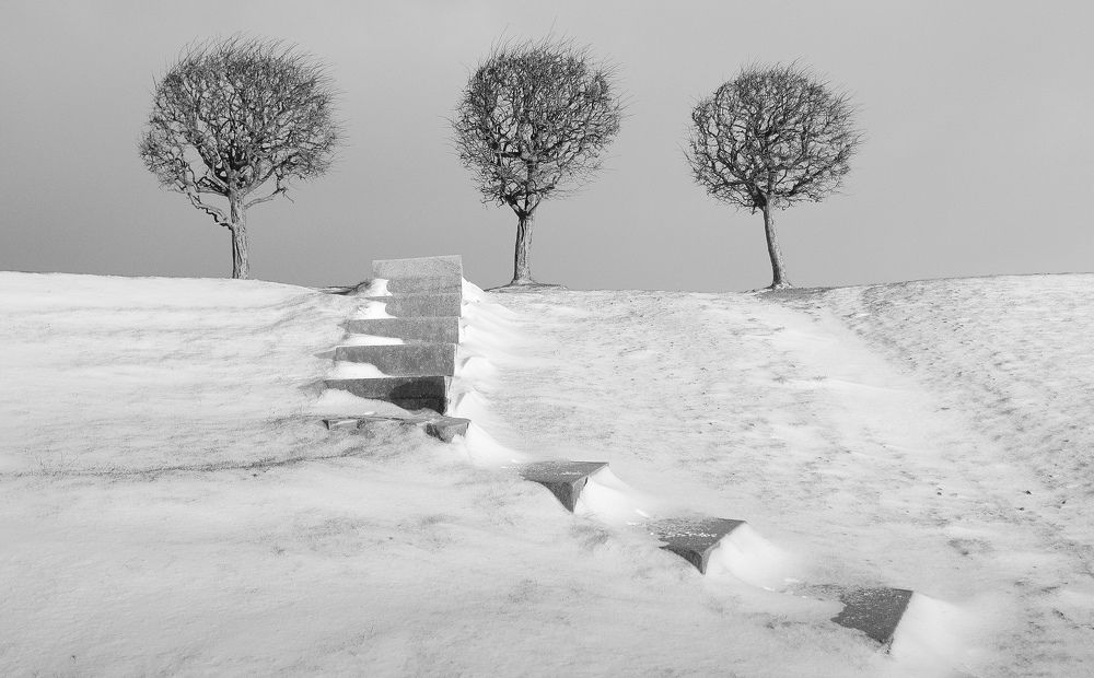 Photograph by Сергей Григорьев