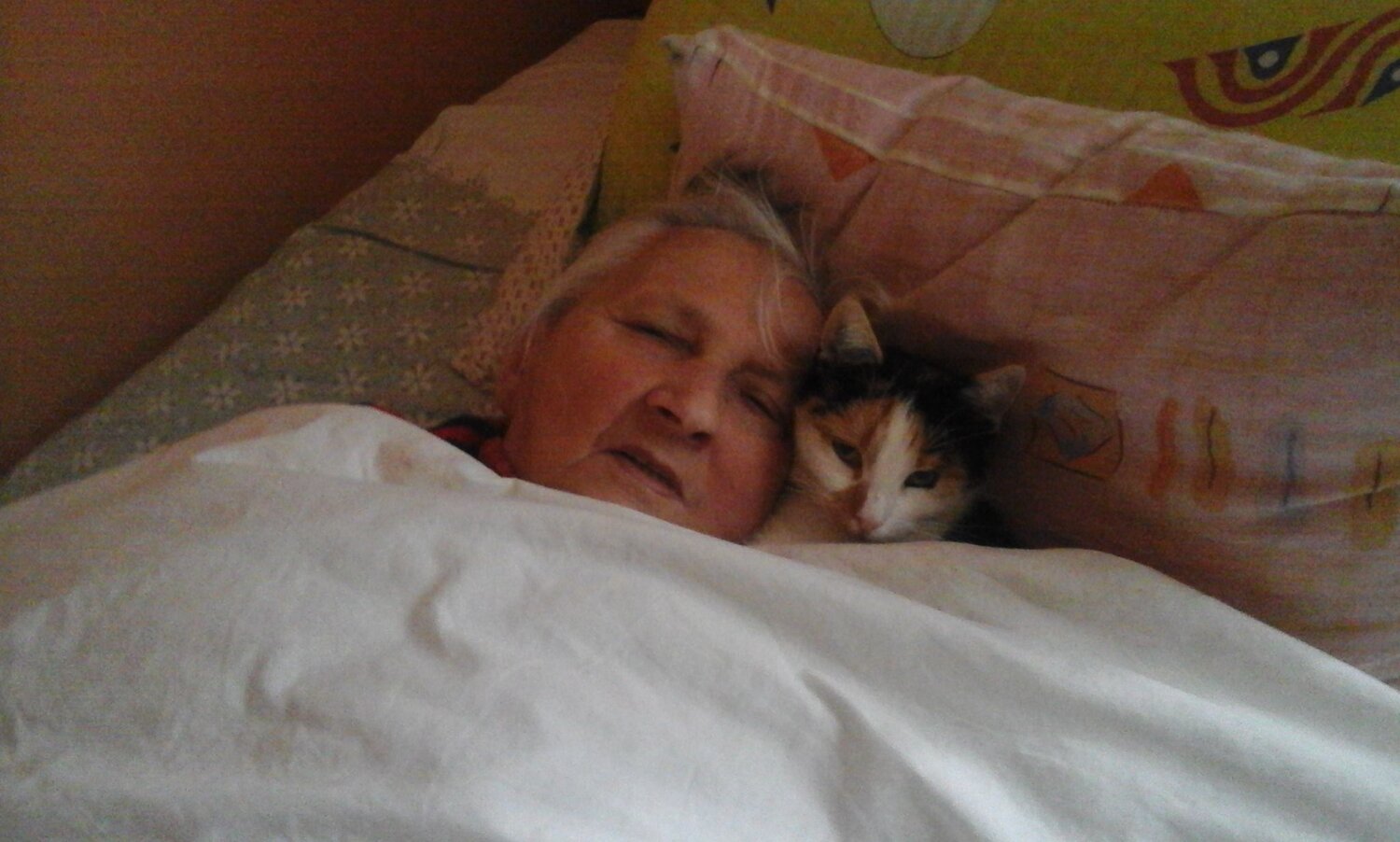 Photo #7238064