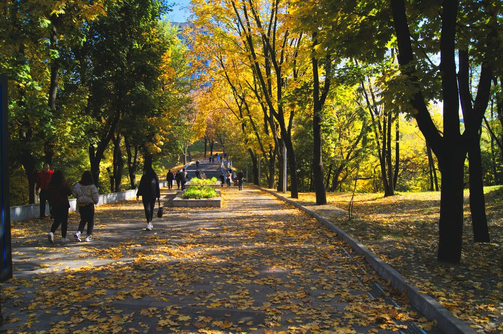 Photograph by Ольга Новикова