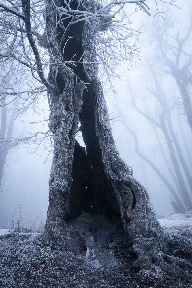 Photograph by David Watter