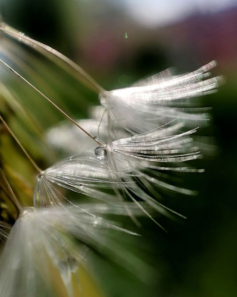 Photograph by Krystyna