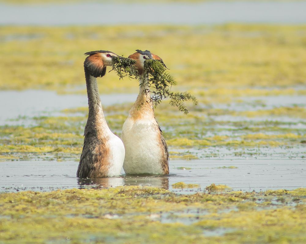 Фотография автора Суслов Дмитрий
