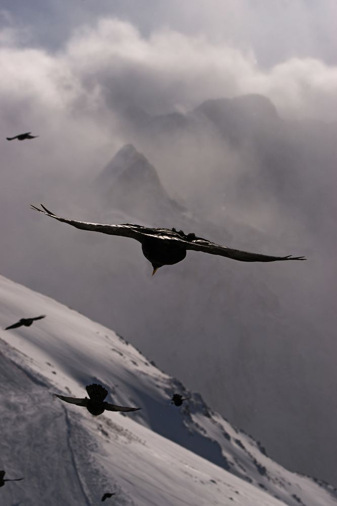 Photograph by Ренат Урусов